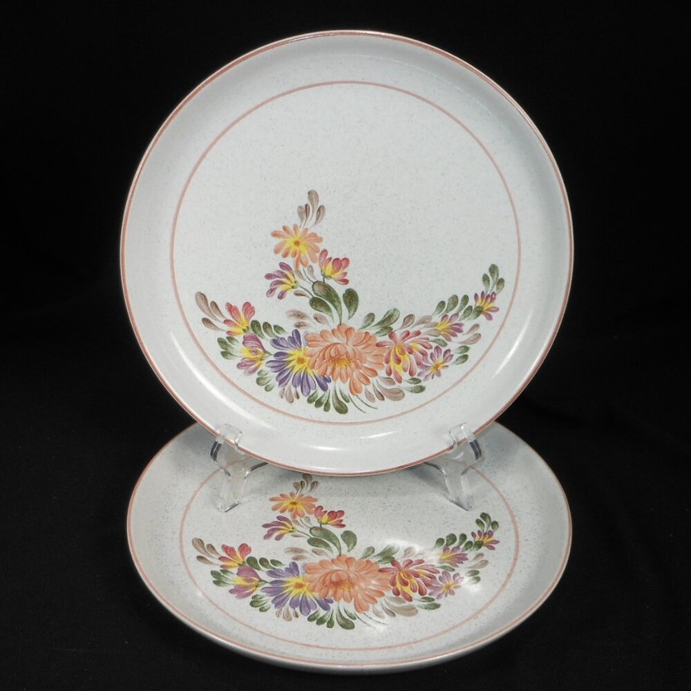 2 beautiful dinner plates. Denby UK Stoneware Summer Fields